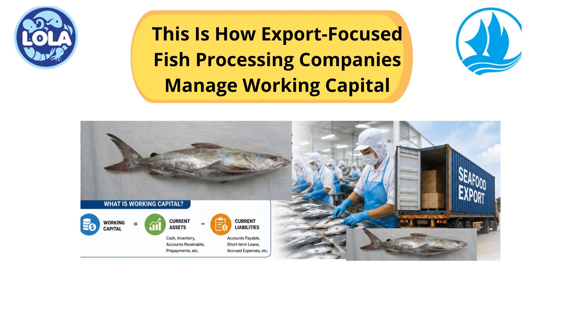 This Is How Export-Focused Fish Processing Companies Manage Working Capital